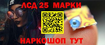 гашик Будённовск