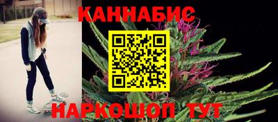 гашик Будённовск