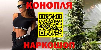 гашик Будённовск